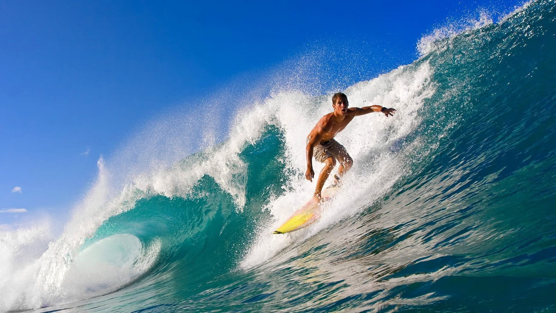 本赛季最佳球员评选：你心中的第一人是谁？，本赛季最有价值球员