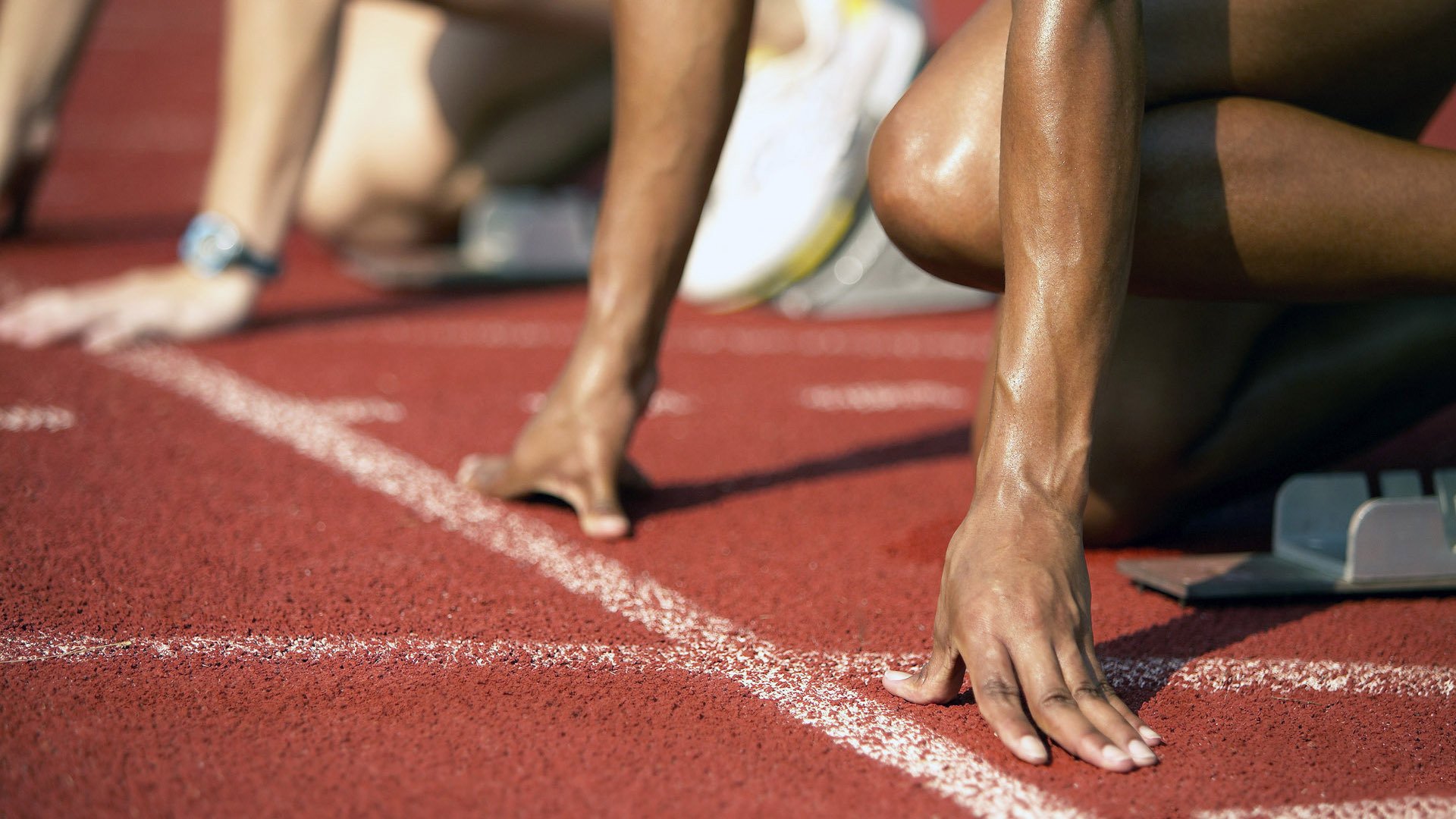 逆境求生：球队如何在危机中扭转局势，逆境求生的狮群